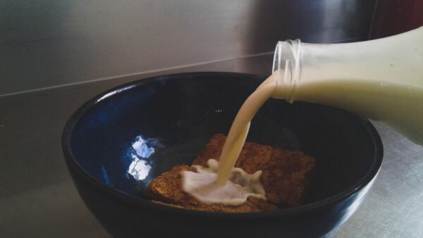 Whole Milk Substitute: Best Alternatives for Any Recipe